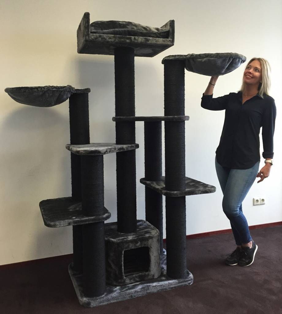 arbre a chat rhrquality